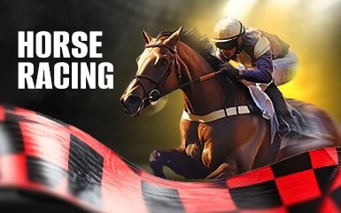 Melbet horse racing betting